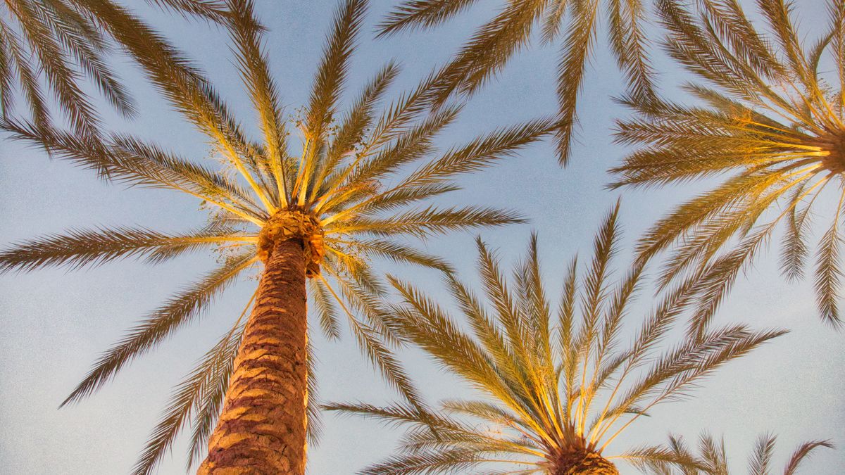 Event Ticket Giveaways in Irvine, CA: Updated 2026 List for Local Winners