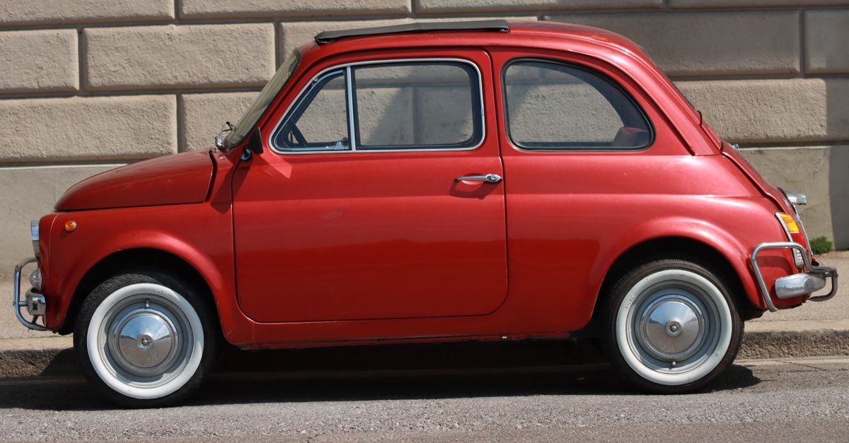 Fiat survey