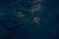 Close up of Dark Water and Jellyfish below