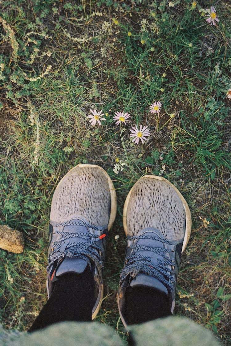 Top View Of Legs With Shoes