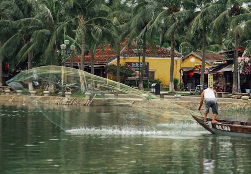 Бесплатное стоковое фото с водный транспорт, деревья, лодка