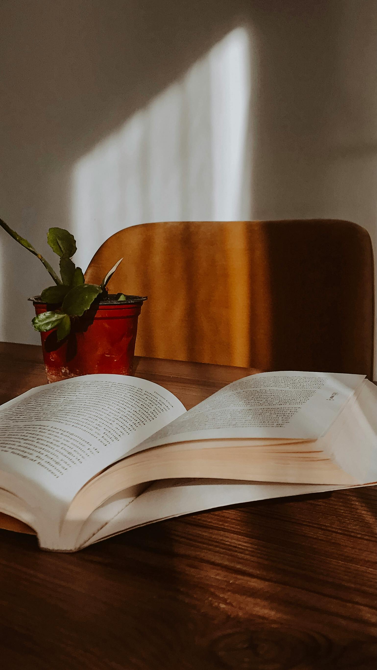 An open book and potted plant on a wooden desk, bathed in warm sunlight.