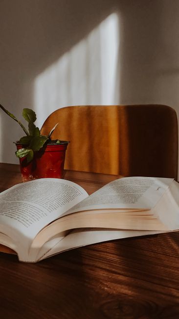An open book and potted plant on a wooden desk, bathed in warm sunlight.
