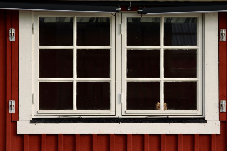 Close-up view of a white-framed window on a red wooden house facade, capturing rustic architecture.