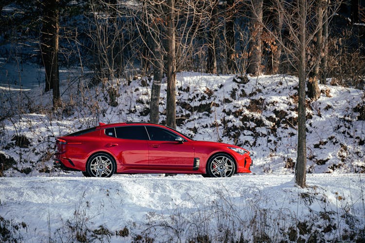 Red Car In The Forest During Winter