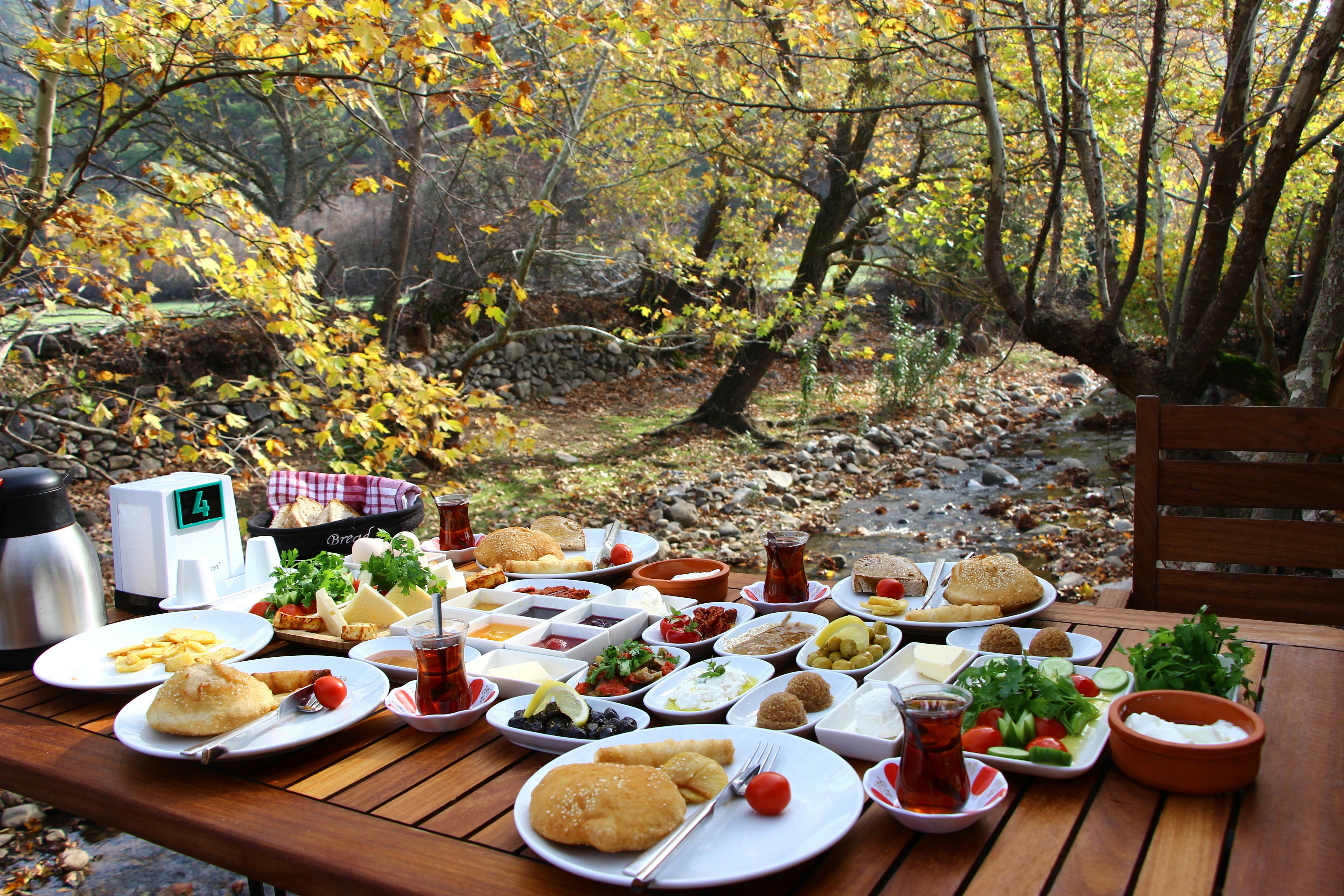 A traditional Turkish breakfast setup in a forested area of Bergama, Türkiye, enhancing nature's beauty.