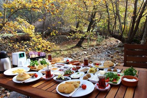 Immagine gratuita di alberi, campeggio, cibo