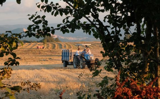 Tractor driving through a picturesque rural landscape at sunset, framed by foliage.