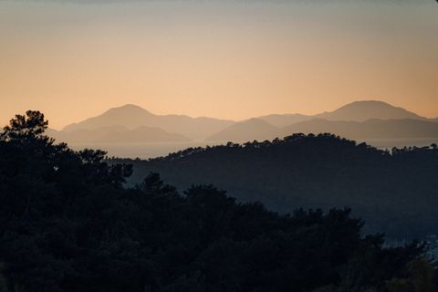 Artwork for Peace, Purpose, and the Power of Perspective with Trey Tijerina