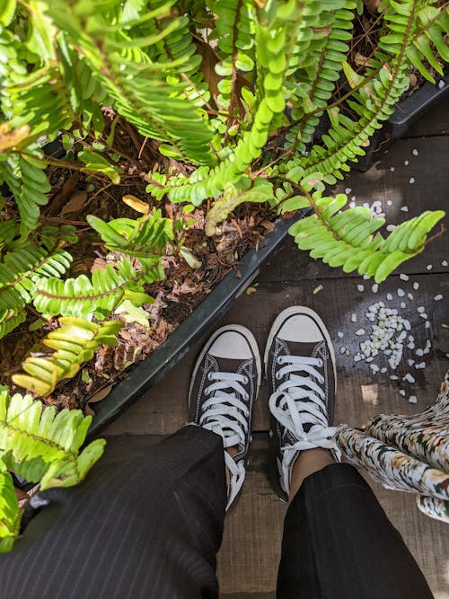 Person Wearing Brown Sneakers Standing Beside Green Plants