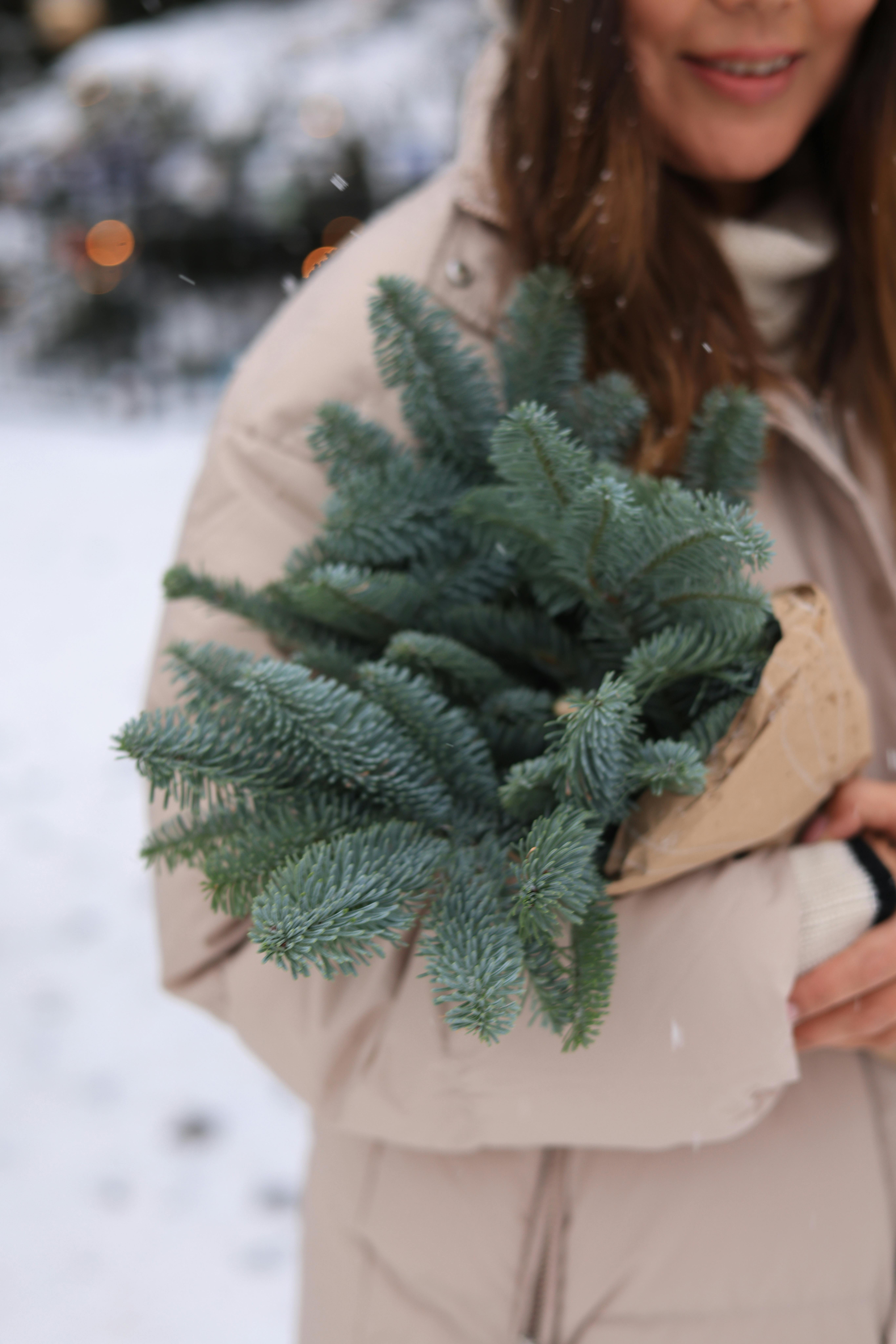 Woman holding a bundle of green spruce branches outdoors on a snowy day.