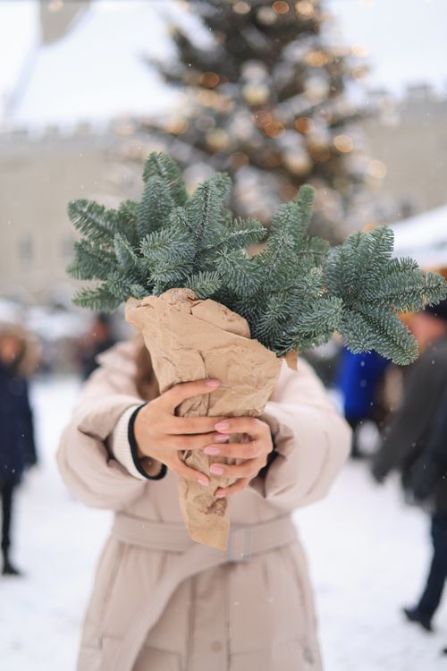 Free A woman holds pine branches at a snowy winter market with a blurred Christmas tree in the background. Stock Photo