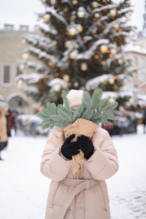 Foto stok gratis di luar rumah, dingin, hari Natal