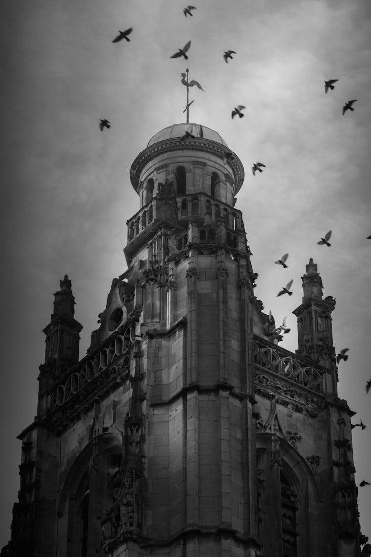 Birds Flying Above Gothic Old Church