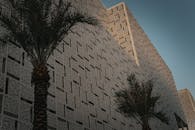 Palm Trees in Front of a Building Covered in Rectangular Patterns