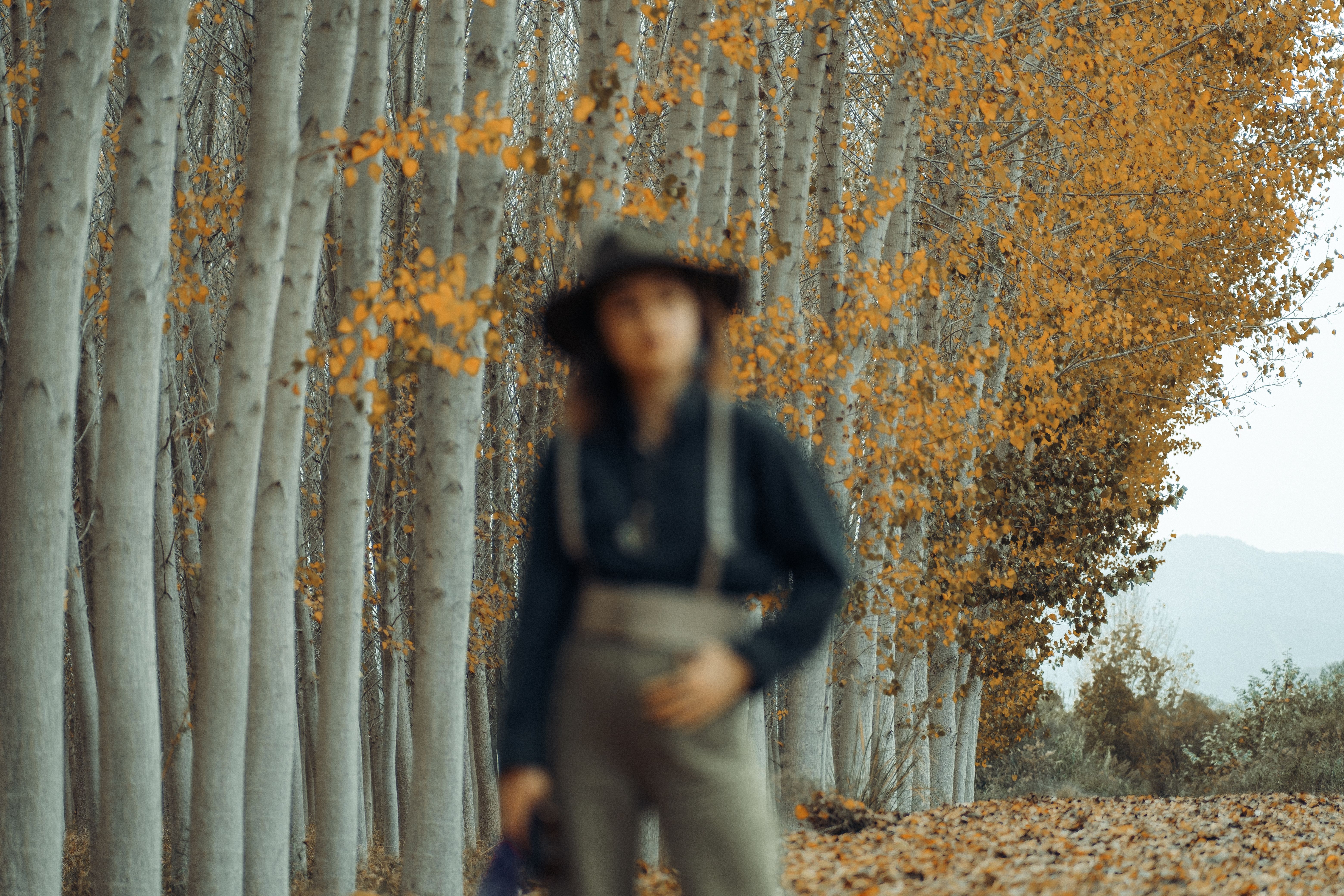 Woman Standing in Front of Autumn Trees · Free Stock Photo