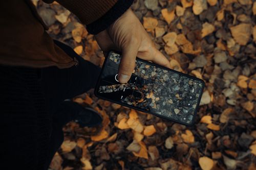 Free Hand holding smartphone photographing fallen autumn leaves on ground. Stock Photo