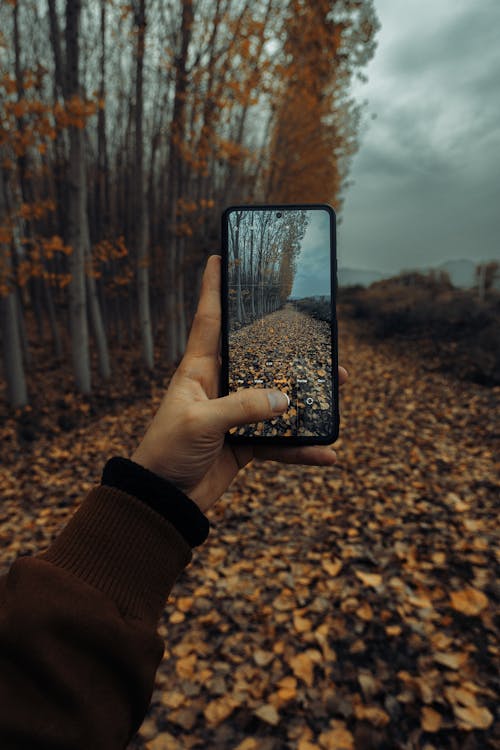 Close-Up Shot of a Person Holding a Cellphone