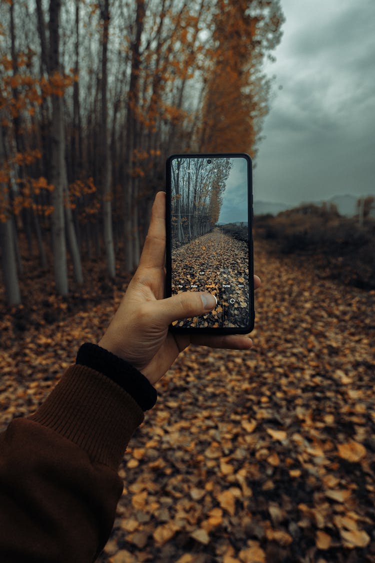 Close-Up Shot Of A Person Holding A Cellphone