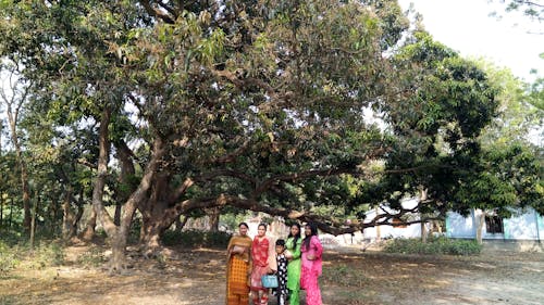 Plumbing maintenance