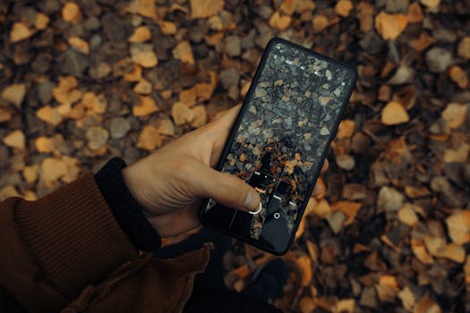 A hand holds a smartphone capturing fallen autumn leaves on the ground.