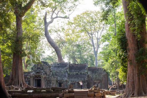 Free stock photo of buddhist temple, temples Stock Photo