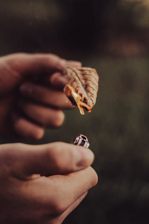 Person Set Leaf on Fire with Lighter