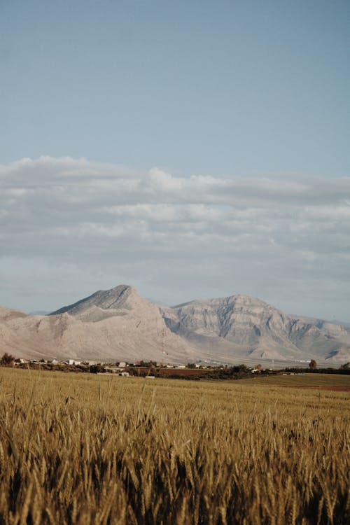 Základová fotografie zdarma na téma hory, hřiště, krajina