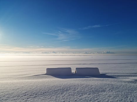 Tranquil snow-covered field under a bright blue sky in Pärnu, Estonia, capturing the serene beauty of winter.