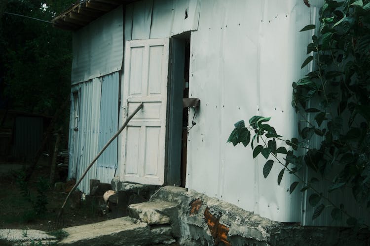 Photograph Of An Open Door Near Plants