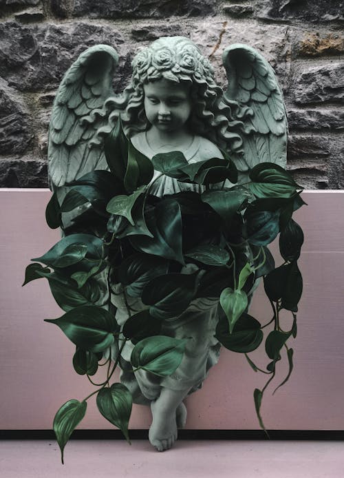 Gratis arkivbilde med blader, engel, englevinger