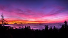 温哥华森林上空，雾蒙蒙的天际呈现出一片令人惊叹的日落景色，天空充满活力的色调