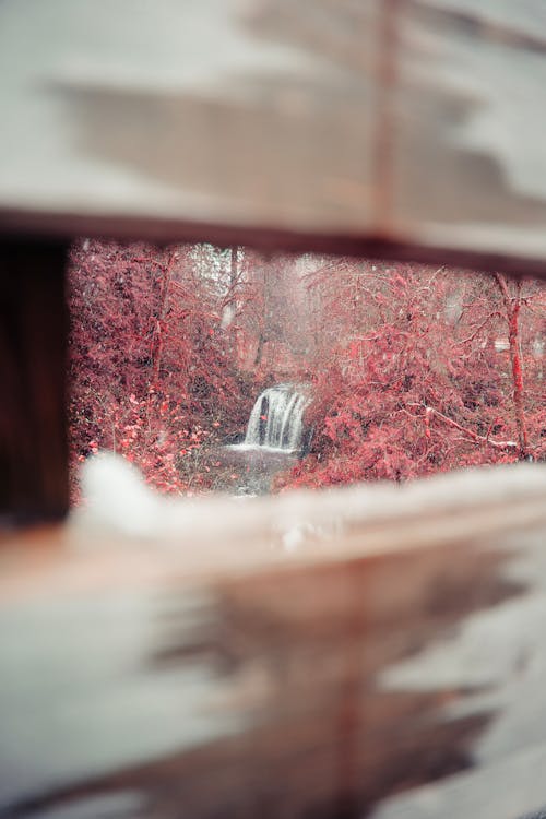 Red Trees and Waterfall