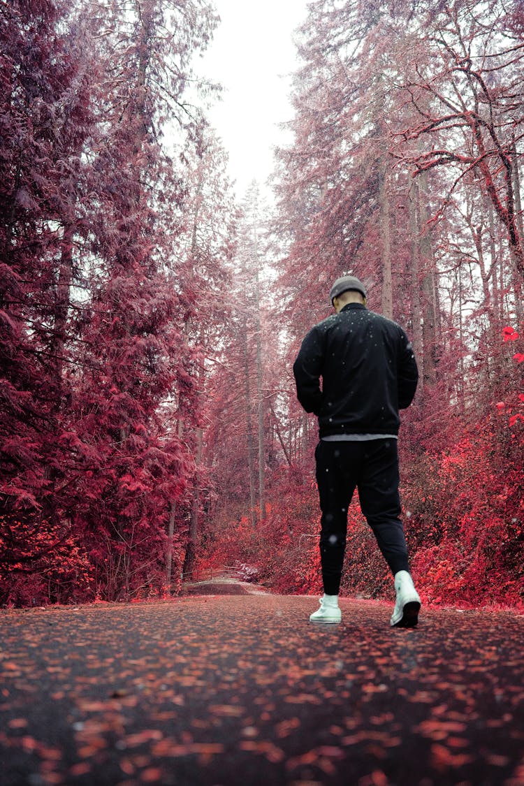 Man Walking In Red Forest