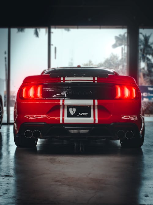 Back View of a Ford Shelby