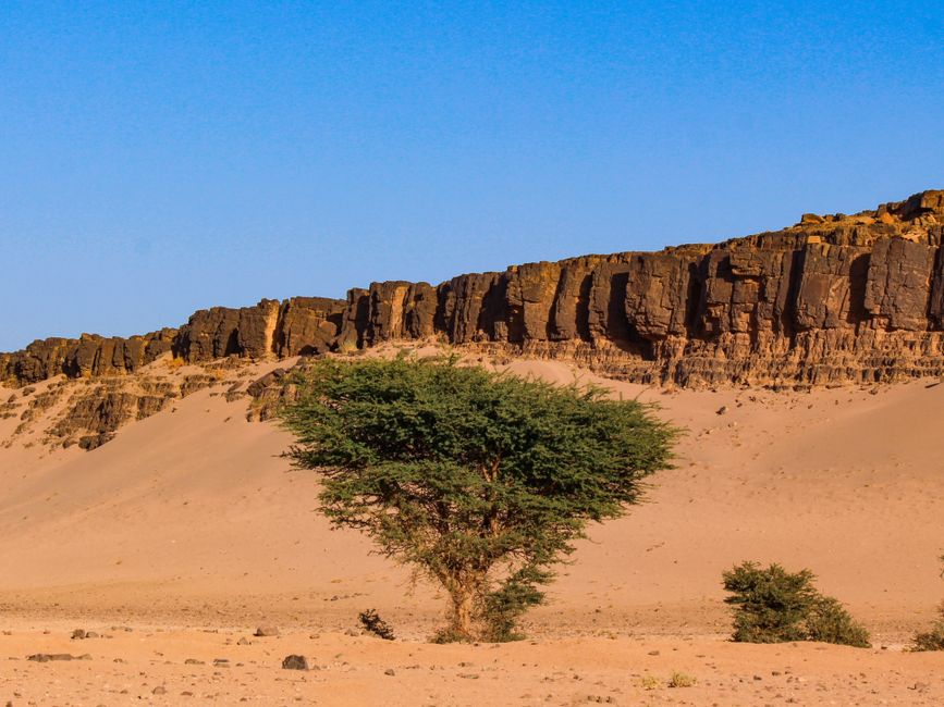 Peut-on vivre en Mali sans parler anglais ?