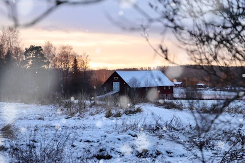Бесплатное стоковое фото с двор, зима, зимний день