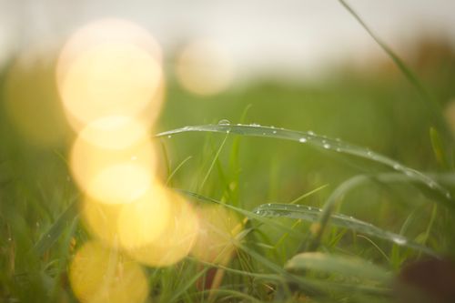 Free stock photo of background, blade, blur Stock Photo