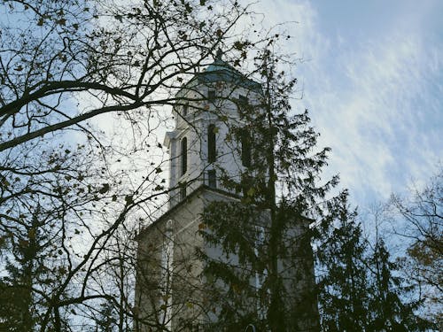 Kostenloses Stock Foto zu aufnahme von unten, bäume, gebäude