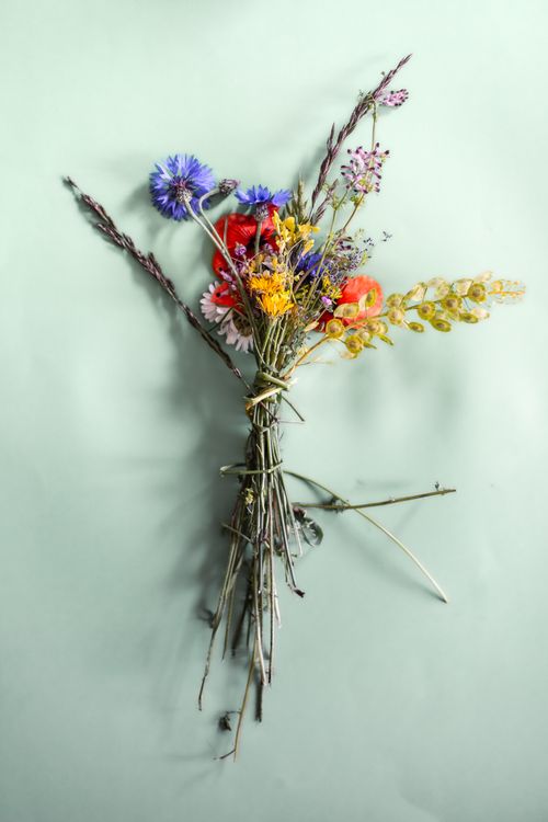 Free A vibrant wildflower bouquet displayed on a light green background, showcasing natural beauty. Stock Photo