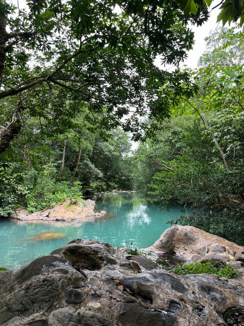 Free Tranquil river flowing through lush tropical forest in Guanacaste, Costa Rica, under a canopy of trees. Stock Photo