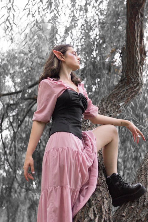 Základová fotografie zdarma na téma elf, kostým, model