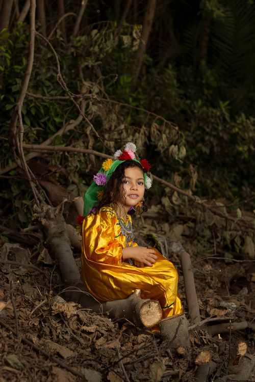 Free A child in bright traditional attire sits on a log in a forest setting, wearing a flower crown. Stock Photo