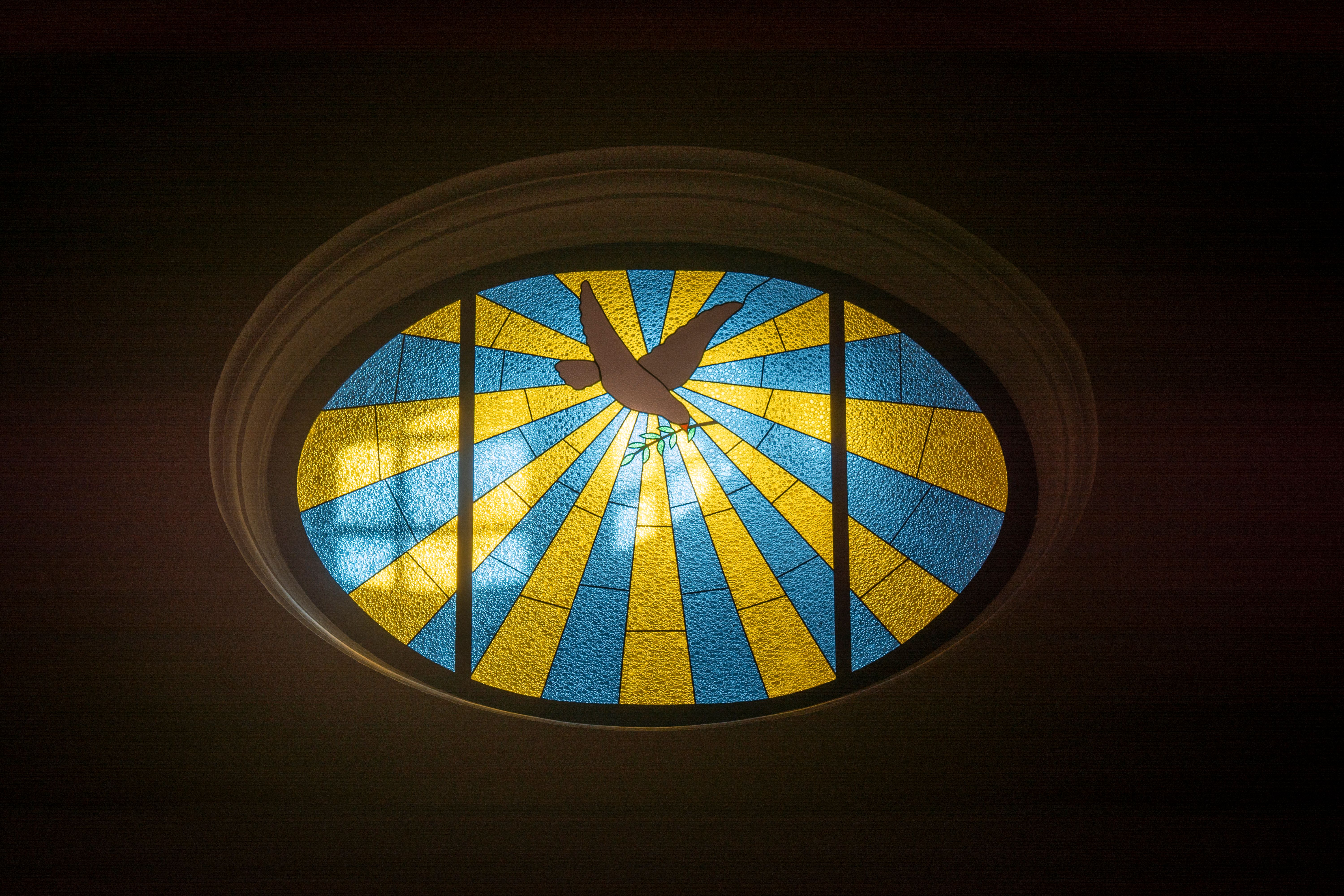 Stained glass dove in a church window