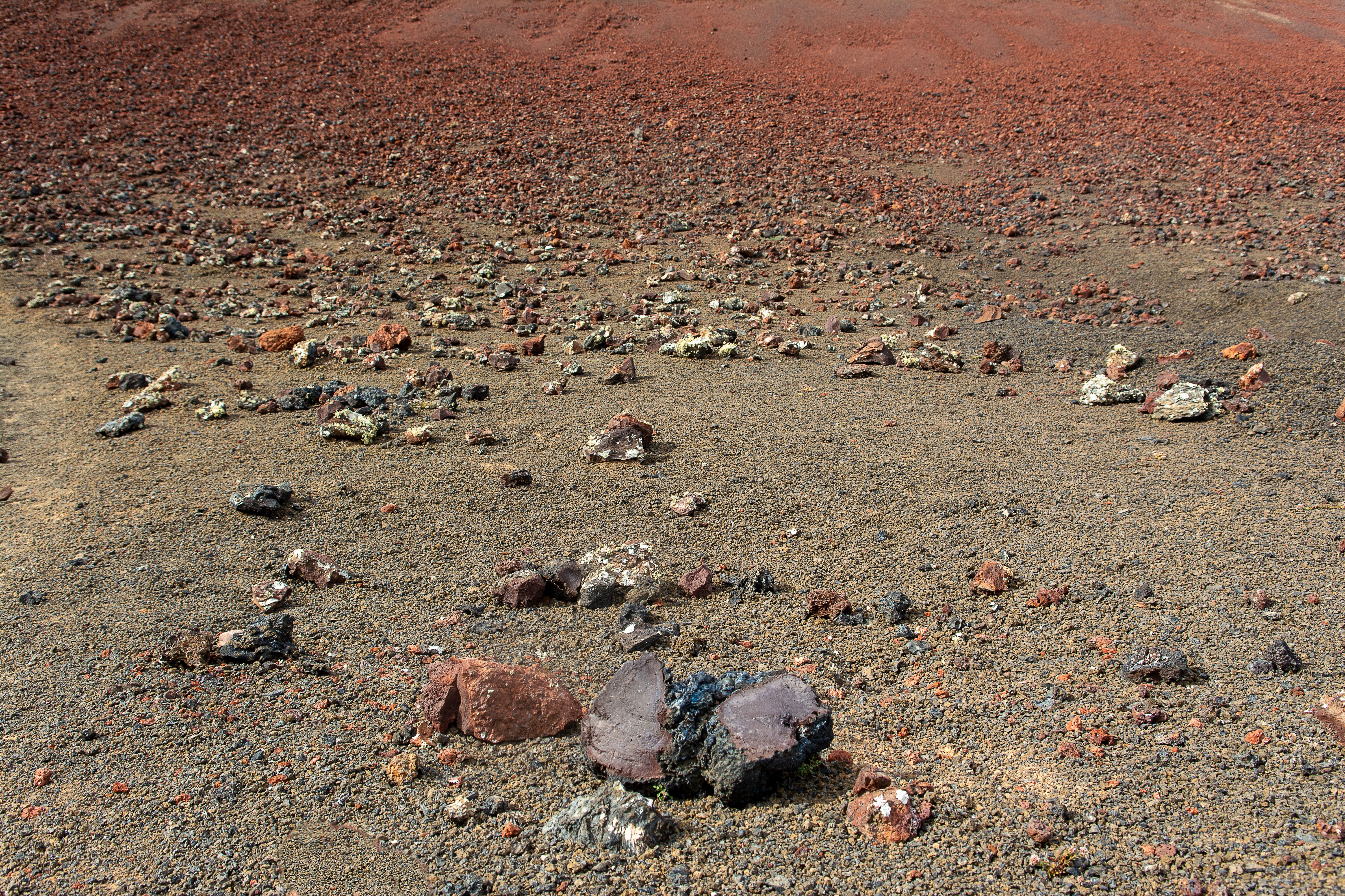 Nasa monitora asteroide com poder destrutivo de 22 bombas nucleares