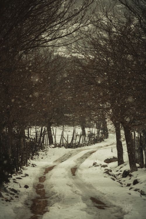 Free A tranquil snowy path through a rural landscape in Adana, Turkey during winter. Stock Photo