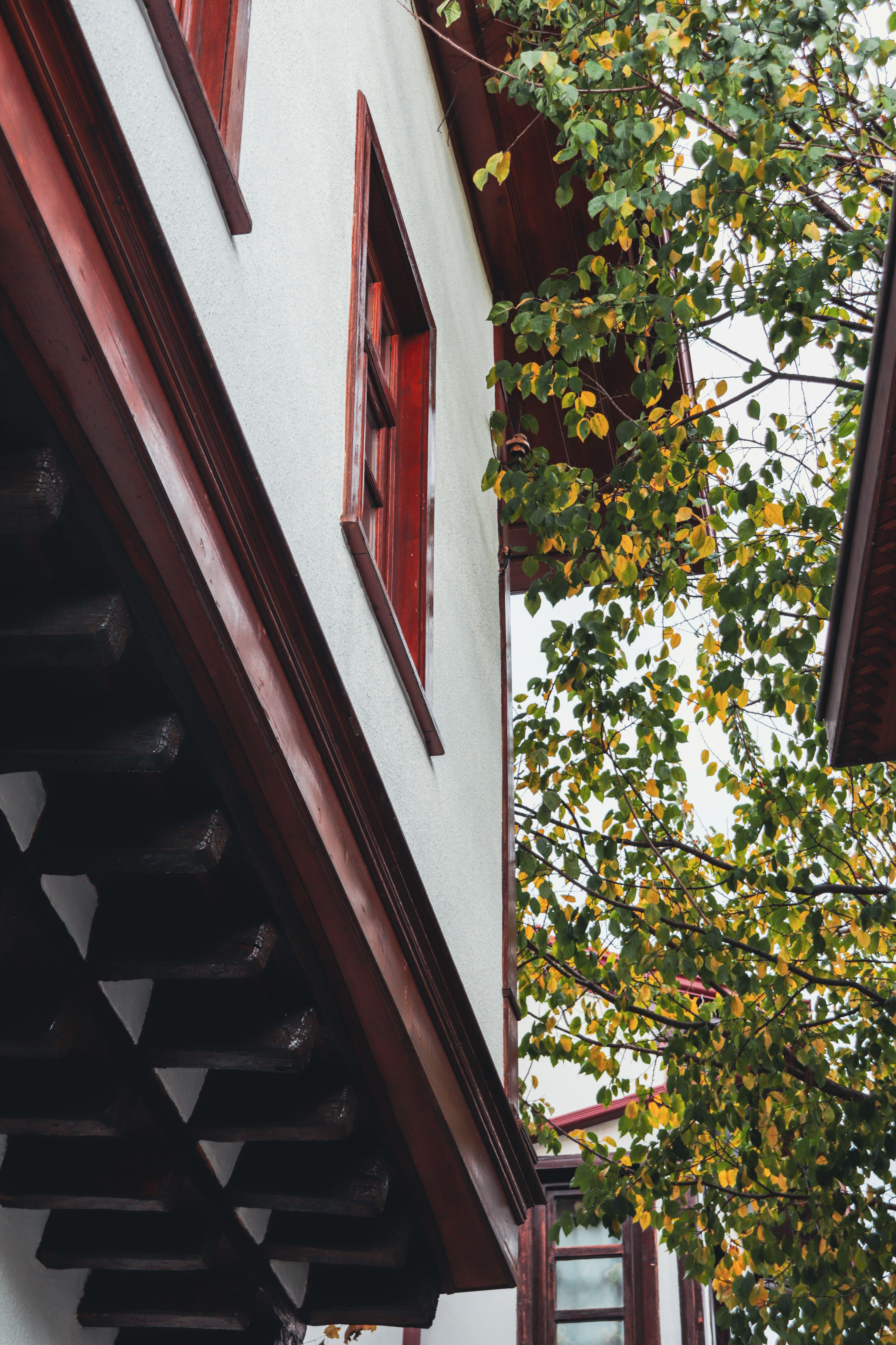 Fall Eaves Aesthetic Photos, Download The BEST Free Fall Eaves ...
