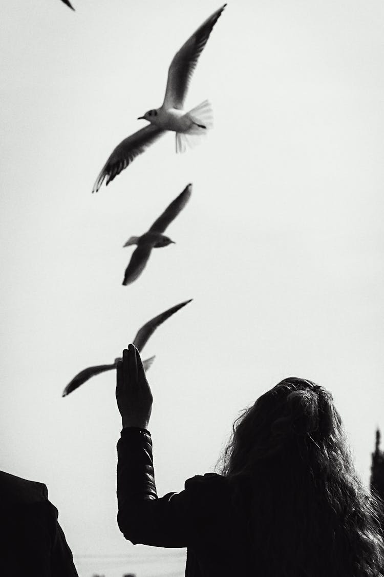 Silhouette Of Woman And Flying Birds