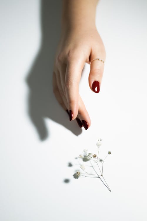 Woman Hand over Thin Flowers