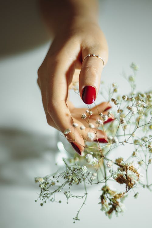 Woman Hand Touching Delicate Flowers